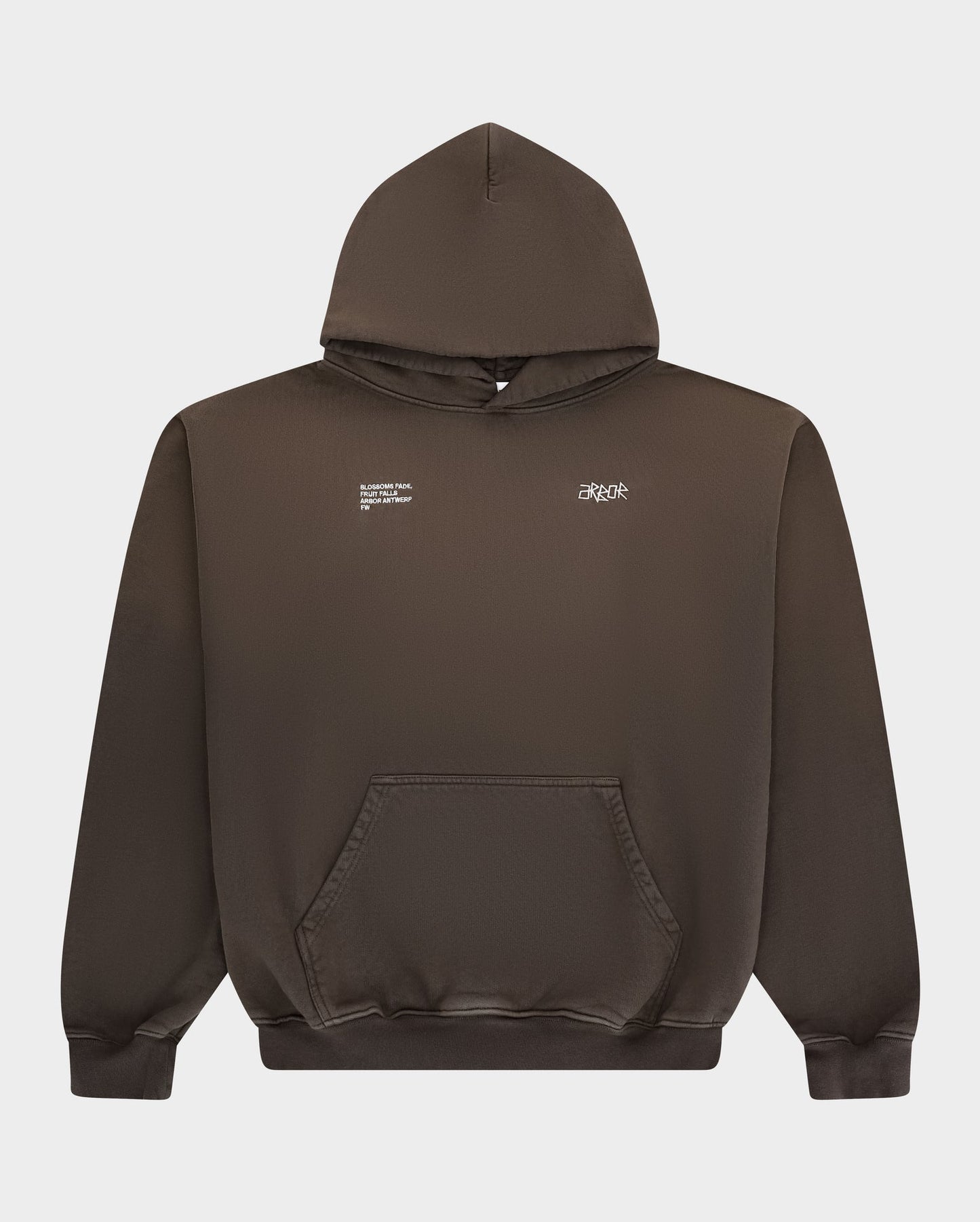Brown Sunfaded Hoodie